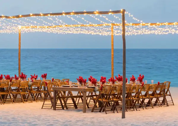 5 Summer Beach Wedding Inspiration You Can't Miss – Ollny
