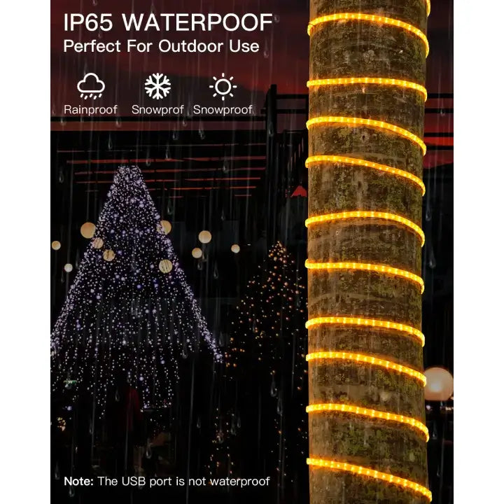 2 Pack Rope Lights, 66Ft 200 LED Waterproof Indoor Rope Lights