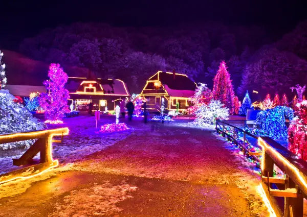 Safety of Outdoor Christmas Lights in the Rain