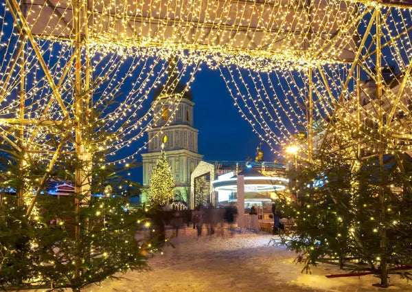 5 Commercial Christmas Lights to Light up the Holiday Season