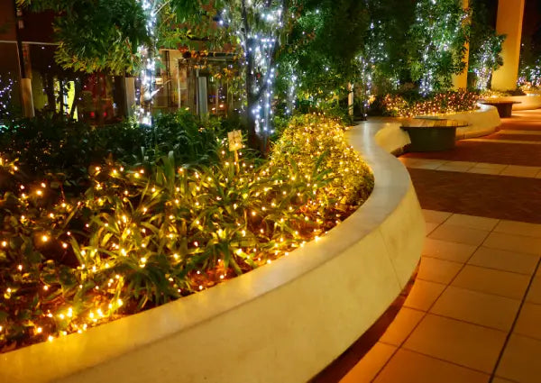 How to Hang Net Lights on a Bush