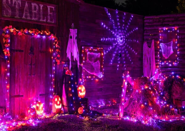 Find Your Perfect Halloween Lights from Ollny: Spooky Styles for Every Home