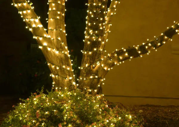 How to Wrap Trees With Outdoor String Lights