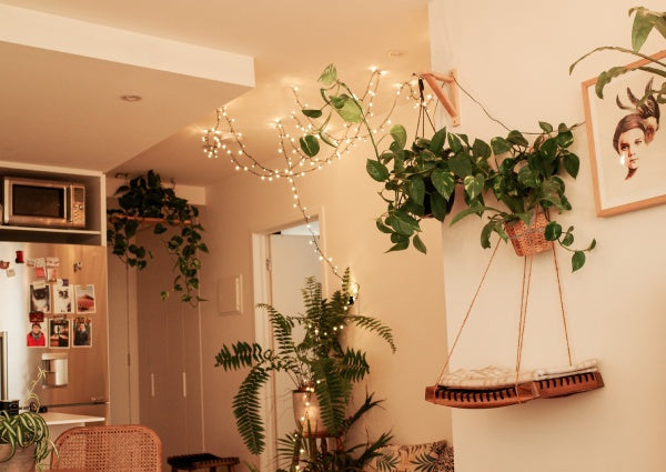 6 Decorating Trends that Will Triumph This Autumn 2022