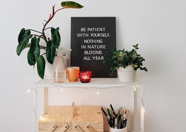 Plant Shelf Decoration Ideas to Spruce Up Your Space