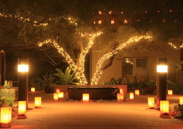 How to Wrap a Tree with Ollny Christmas Lights