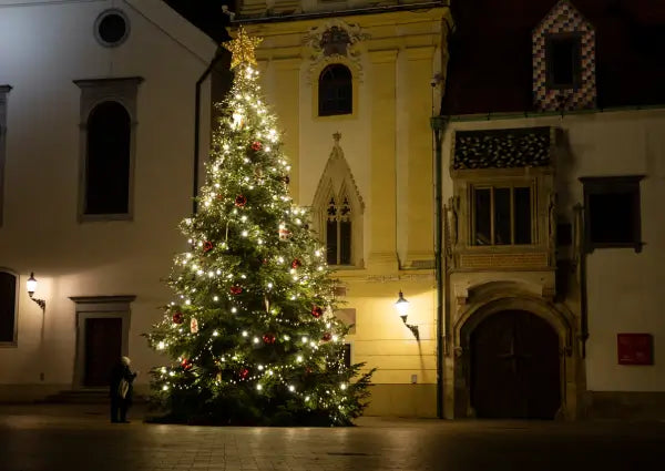 5 Amazing Christmas Lights Ideas for an Outdoor Tree