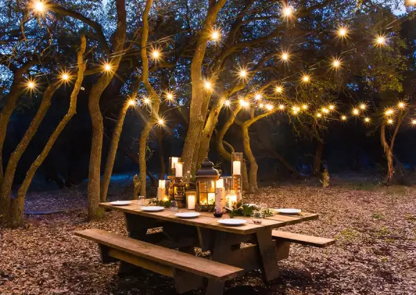 5 Best Ways to Hang Your Backyard String Lights