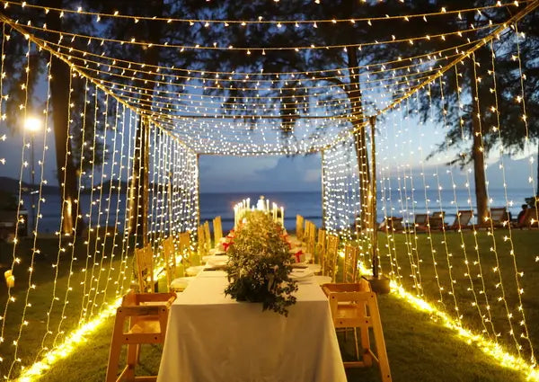 New Release: Ollny Ollny 600 LED 19.7FT*9.8FT Warm White Curtain Lights