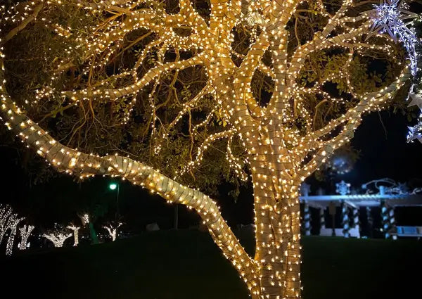 How to Put Fairy String Lights on A Tree: 3 Creative Styles