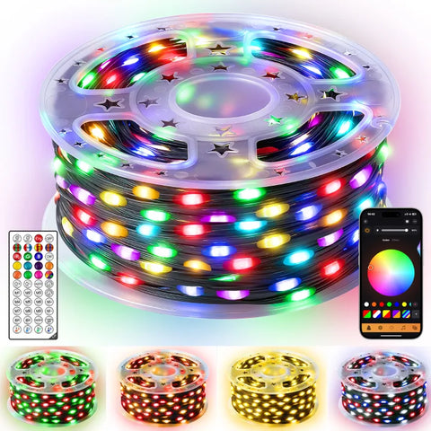 Ollny Smart RGBIC IP67 Waterproof String Lights