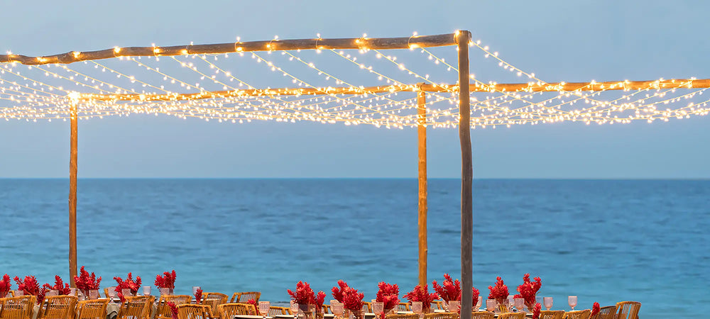 800 Led 262ft Wedding Fairy Lights