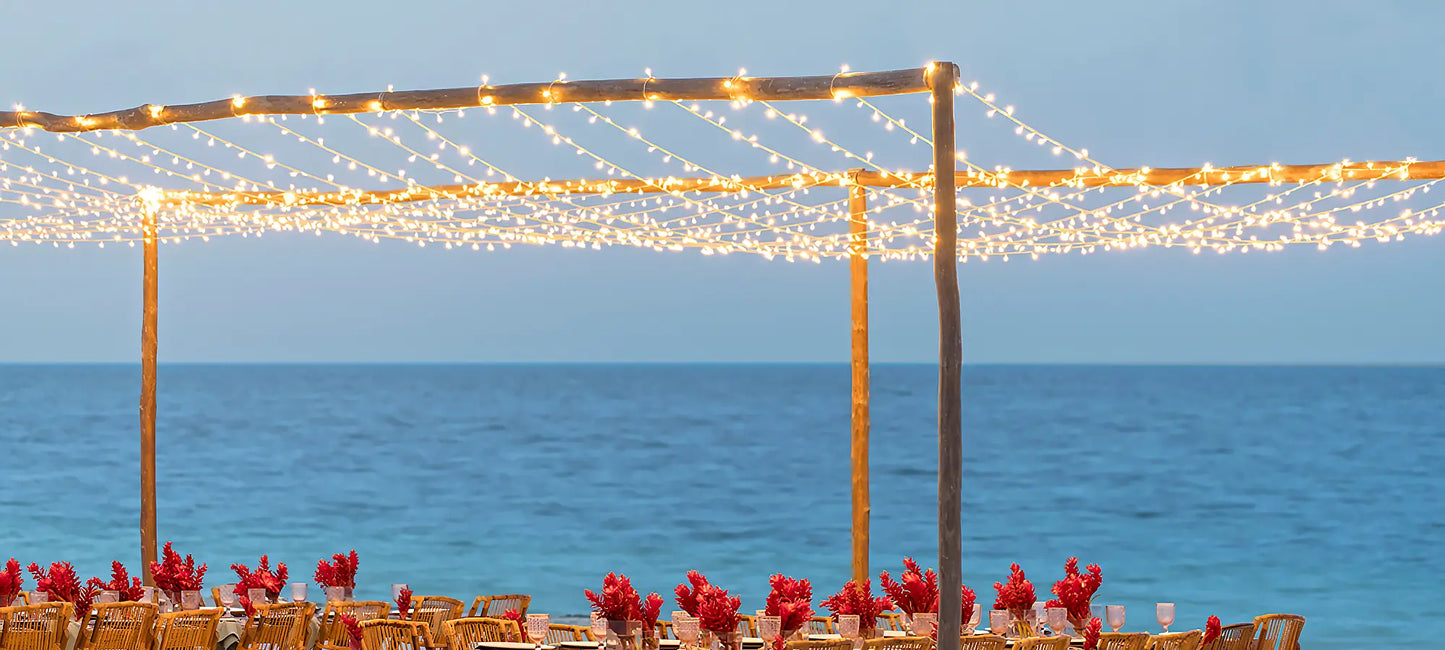 800 Led 262ft Wedding Fairy Lights