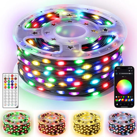 RGB LED light with remote control and app 