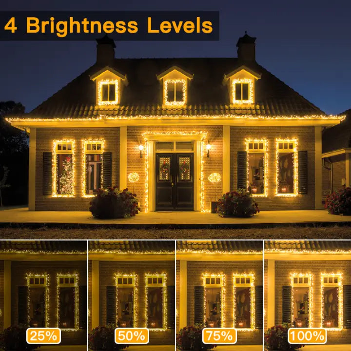 
                  
                    Ollny's 1000 leds warm white Christmas cluster lights with 4 brightness levels
                  
                