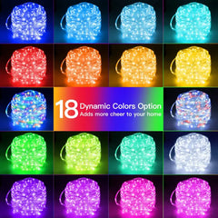300 LED 99ft 18 Colors Changing Rope Lights (Plug-in, 8 Modes, IP68 Waterproof)