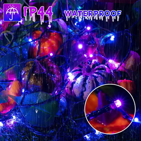 Ollny's 500 leds blue and purple Christmas lights are IP44 waterproof