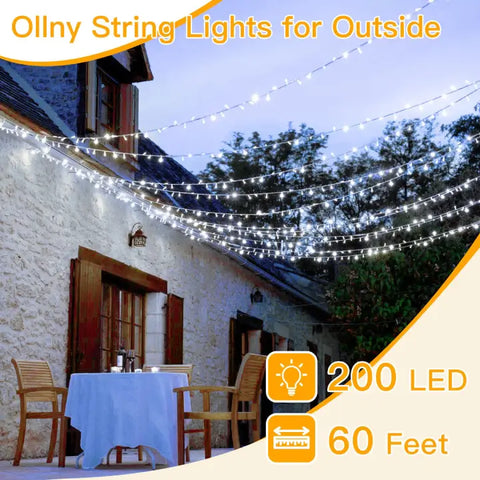 60ft string lights