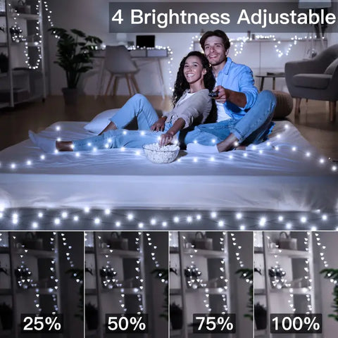 Ollny's 900 leds cool white Christmas lights with 4 brightness levels