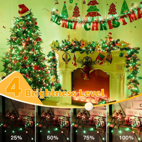 600 LED 30ft Red & Green Cluster Lights (Green Cable, Plug in, 8 Modes, IP44 Waterproof)