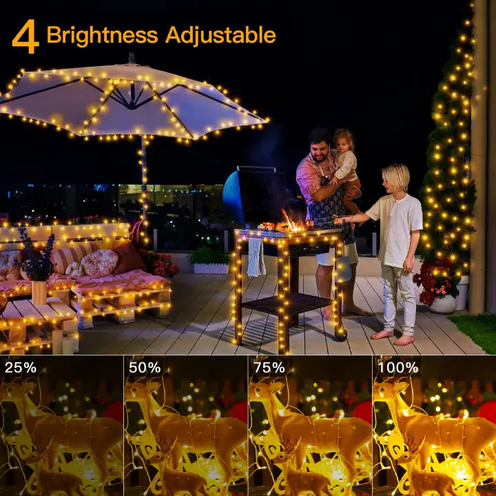 
                  
                    Ollny 400 LED 132ft Warm White String Lights (Clear Cable, Plug in, 8 Modes, IP44 Waterproof)
                  
                