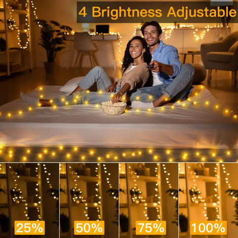 Ollny's 900 leds warm white Christmas lights with 4 brightness levels