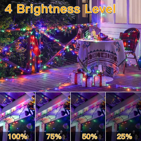 outdoor house lights for Christmas have 4 brightnes levels