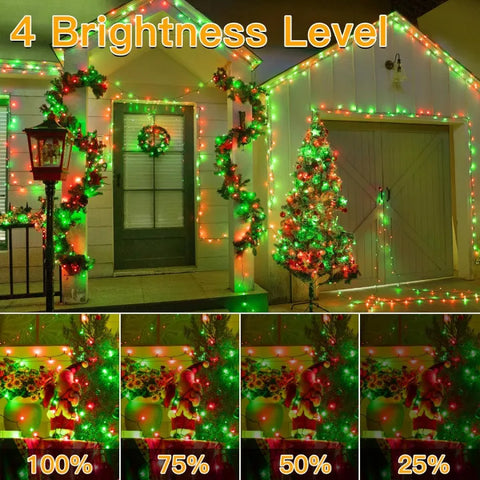 Red and green outdoor house lights for Christmas have 4 brightnes levels
