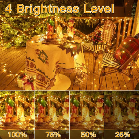 outdoor house lights for Christmas have 4 brightnes levels