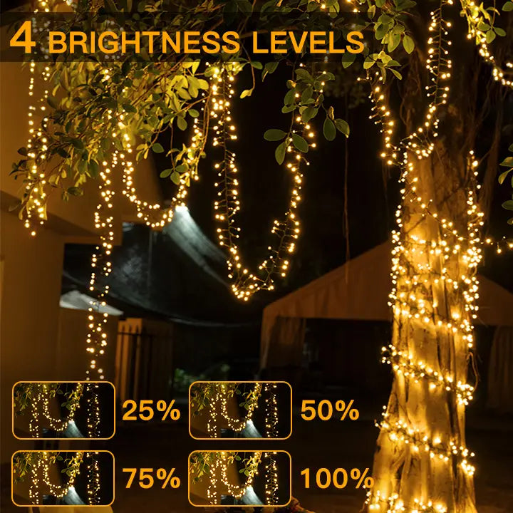 
                  
                    4 brightness levels of string lights wedding
                  
                