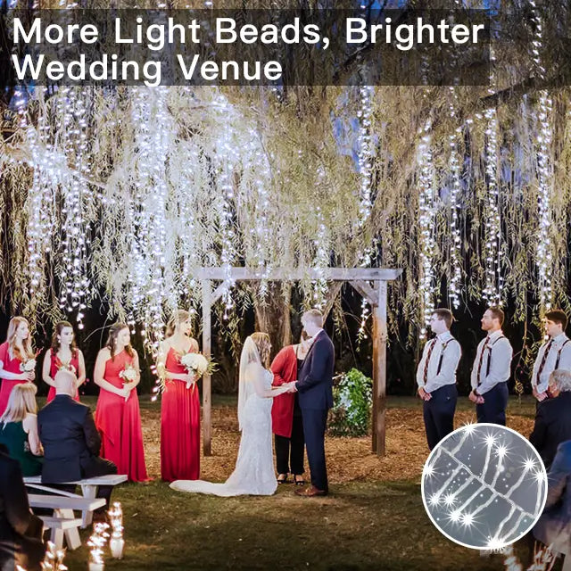 Ollny's 20ft cool white wedding cluster lights with more light beads to brighter wedding venue