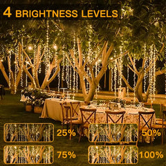 Ollny's 400 leds warm white wedding cluster lights with 4 brightness levels