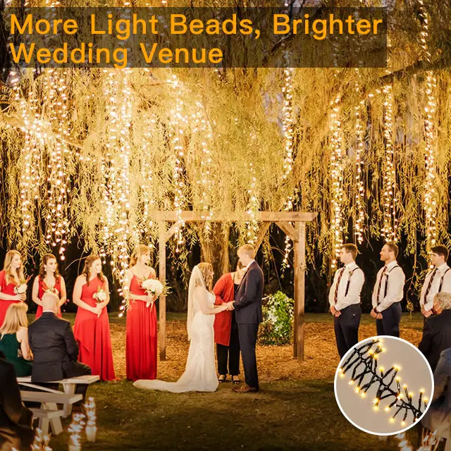 
                  
                    Ollny's 20ft warm white wedding cluster lights with more light beads to brighter wedding venue
                  
                