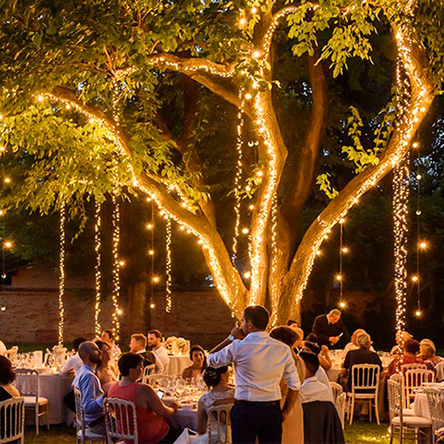 Ollny's 400 leds 20ft warm white wedding cluster lights green cable